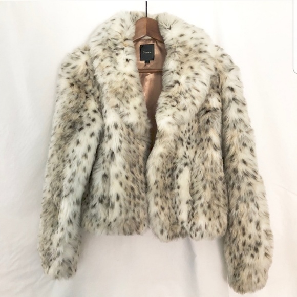express leopard jacket